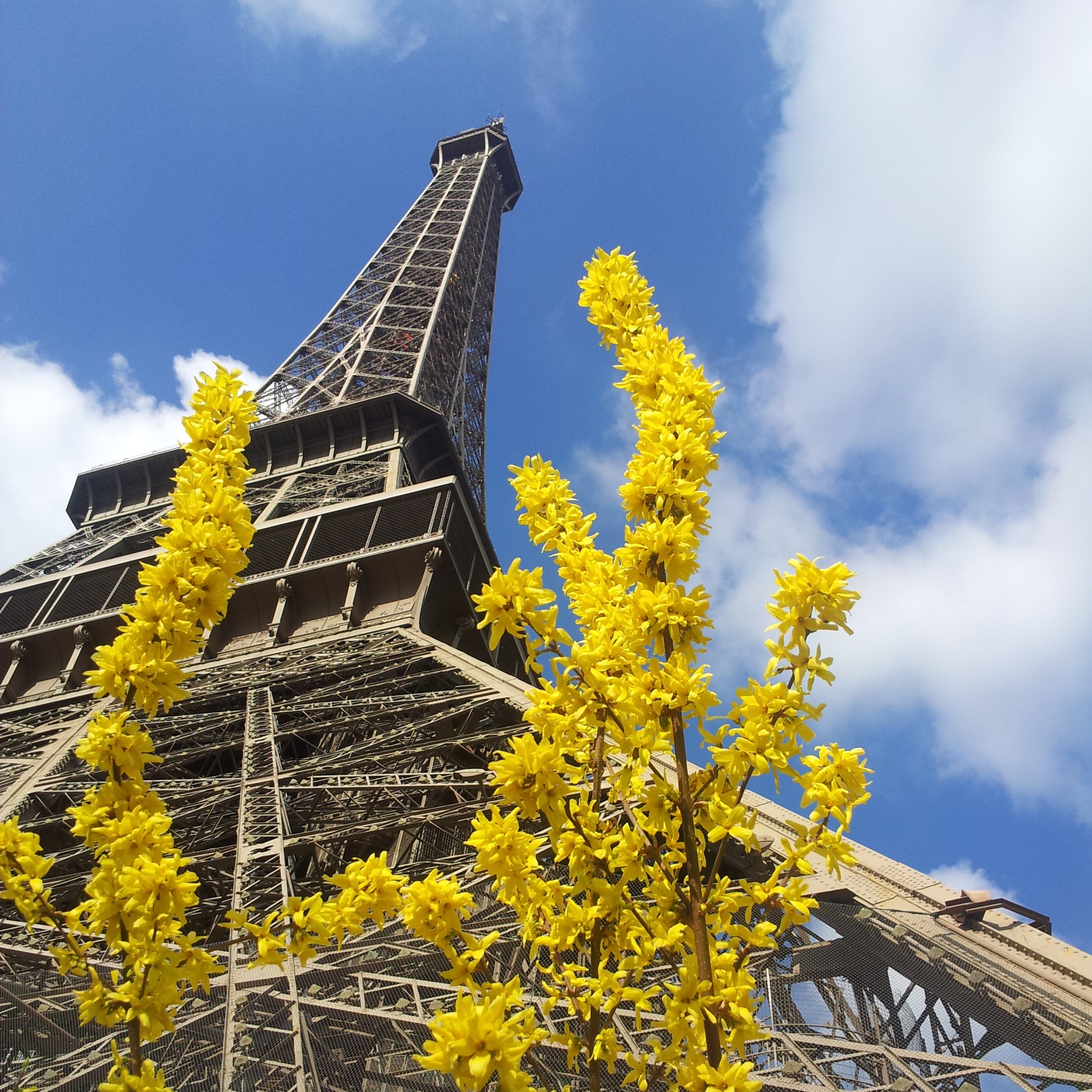 La tour Eiffel