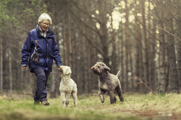 An elderly woman walking with her dogs in the forest